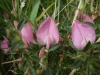 dscf4685