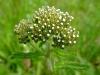 dscf4733